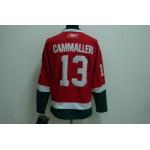 NHL Montreal Canadiens #13 cammalleri RedGreen