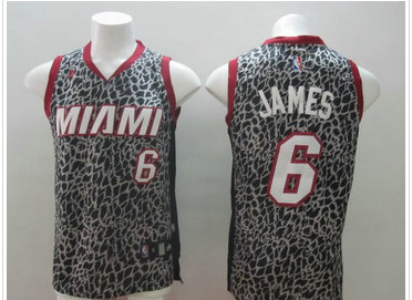 2014 NBA Women miami heat #6 james Leopard grain fashion jerserys