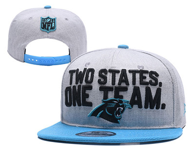 NFL Carolina Panthers Two States One Team Gray Adjustable Hat