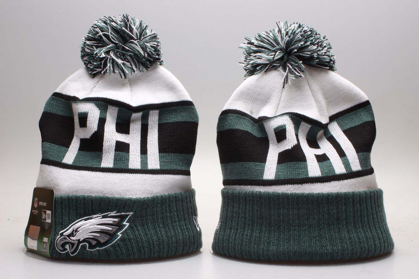 NFL Philadelphia Eagles Team Logo Black Knit Hat 1