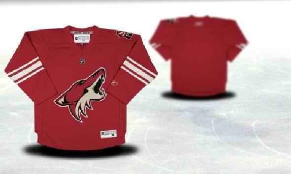Phoenix Coyotes Youth Customized Red Jersey