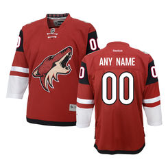 Youth Arizona Coyotes Reebok Maroon Home Premier Custom Jersey